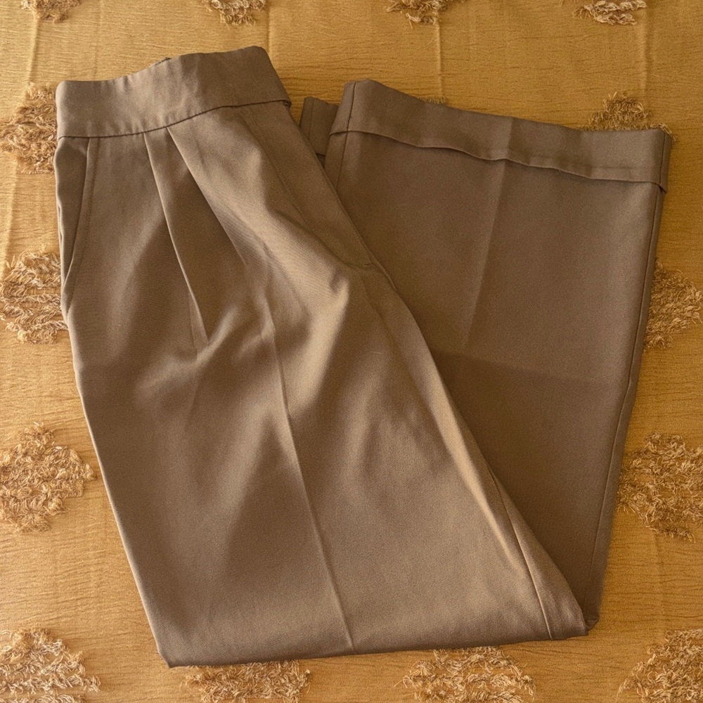Zara Taupe Pleated Women's Dress Trousers